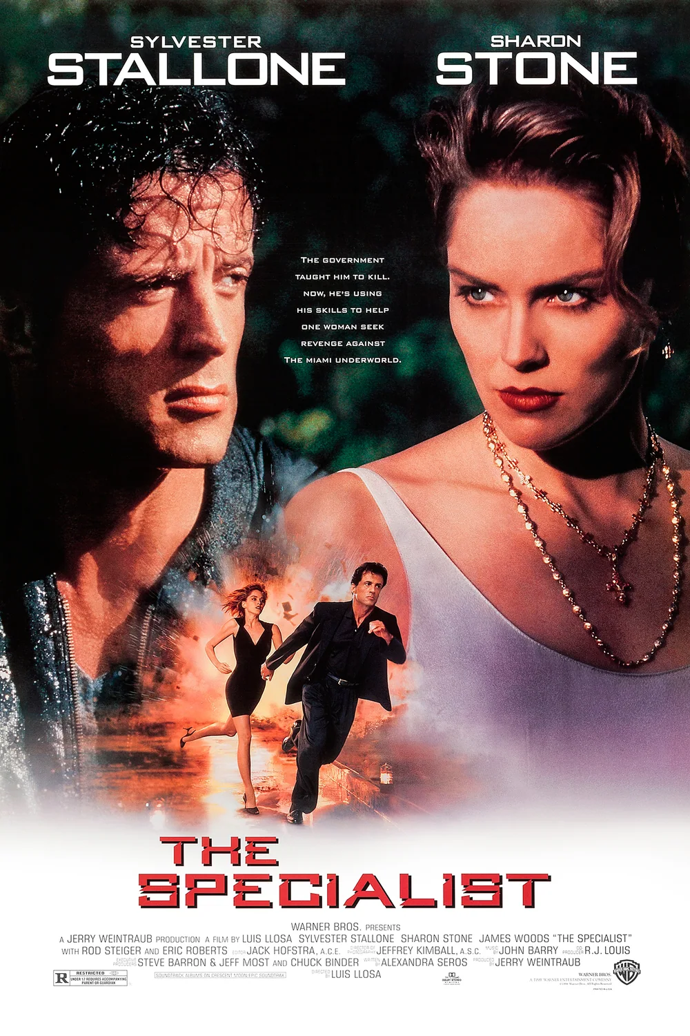 پوستر فیلم متخصص