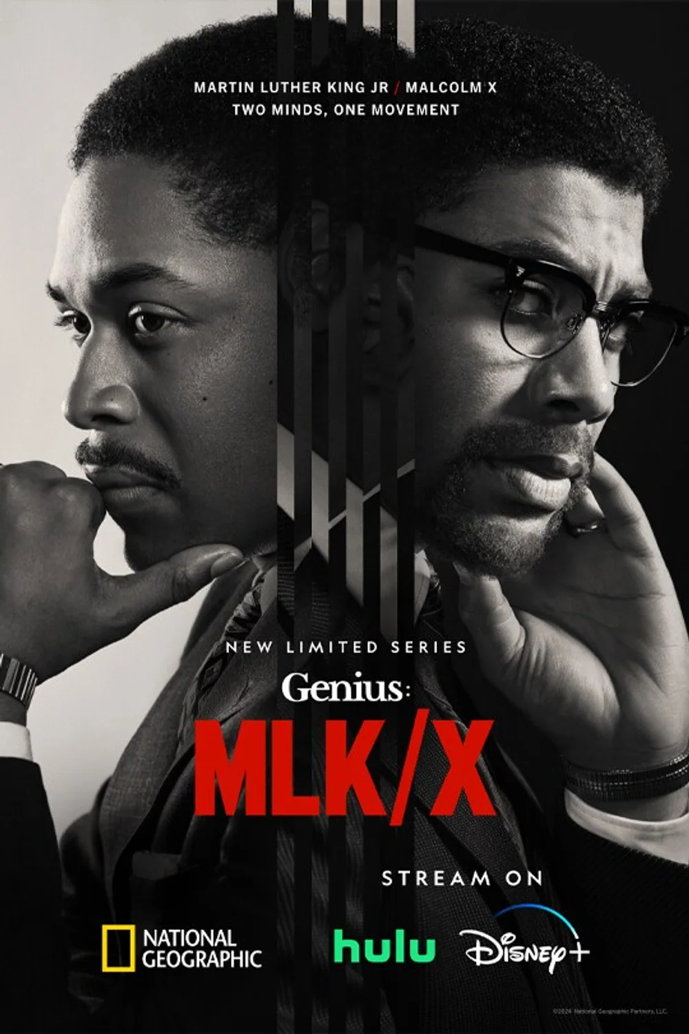 پوستر سریال Genius