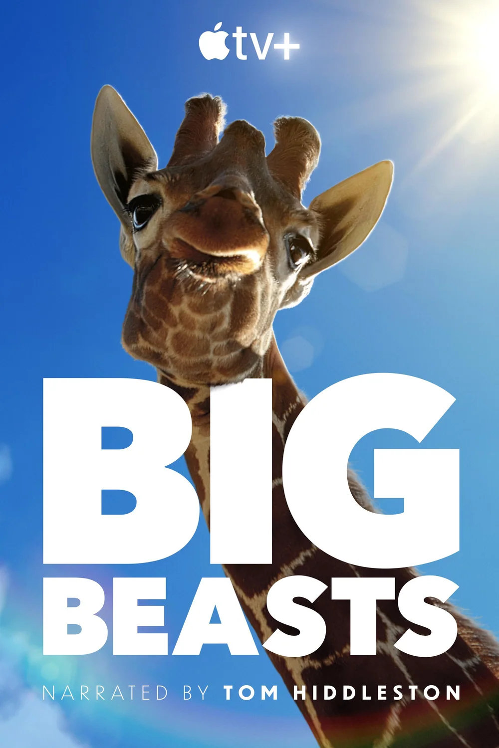 پوستر سریال Big Beasts