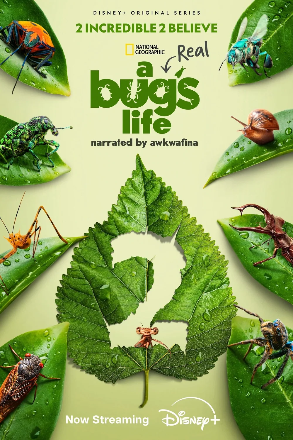 پوستر سریال A Real Bugs Life